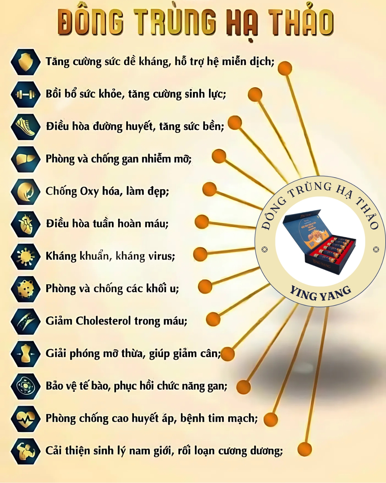 cong-dung-cua-dong-trung-ha-thao